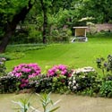 Gartenanlage mit Rhododendren Entwurf: Maria Auböck