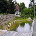Schwimmteich in KorneuburgPlanung: T. Mauthe
